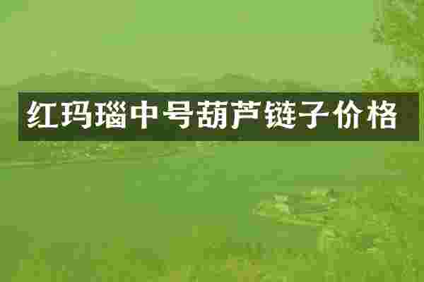 红玛瑙中号葫芦链子价格
