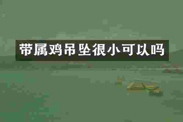 带属鸡吊坠很小可以吗