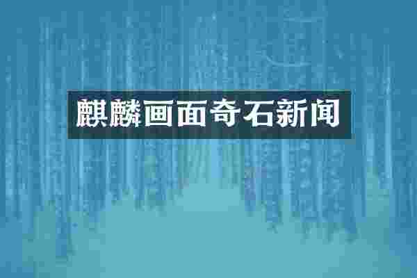 麒麟画面奇石新闻