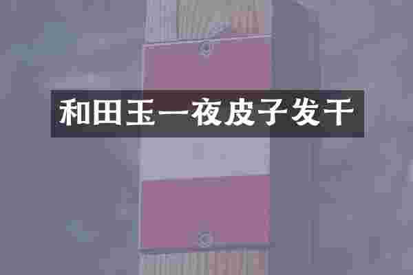 和田玉一夜皮子发干