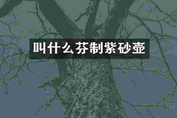 叫什么芬制紫砂壶