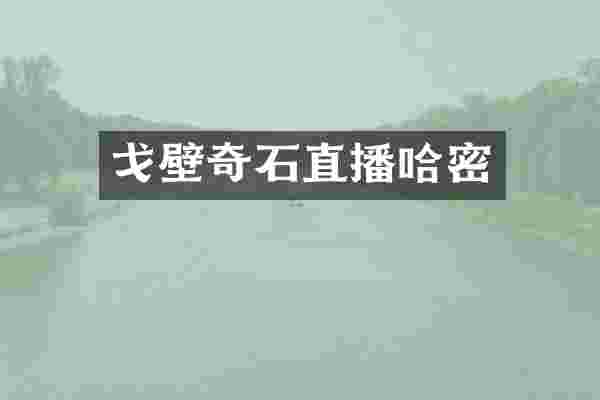戈壁奇石直播哈密