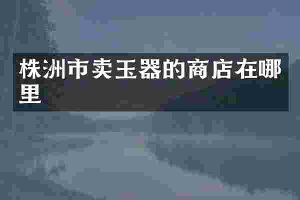株洲市卖玉器的商店在哪里
