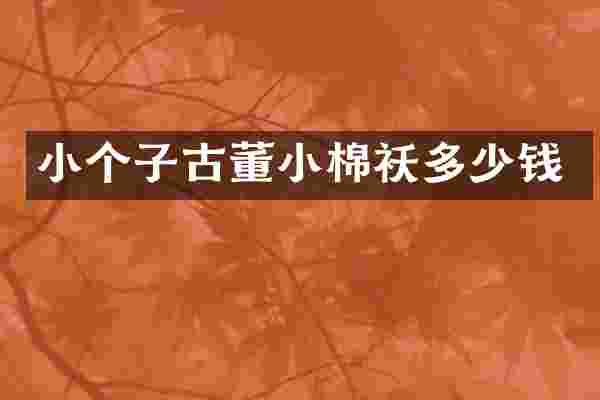 小个子古董小棉袄多少钱