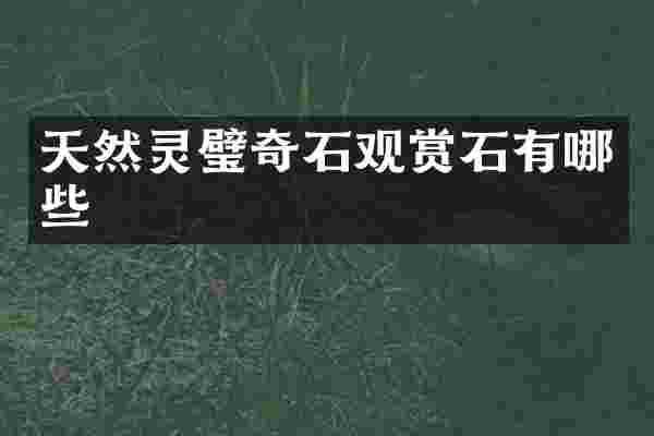 天然灵璧奇石观赏石有哪些