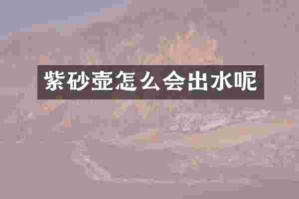 紫砂壶怎么会出水呢