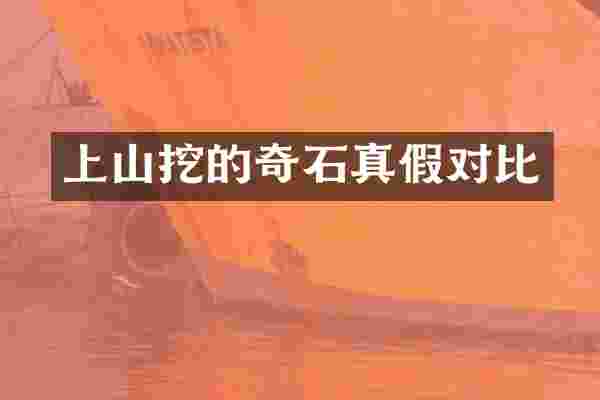 上山挖的奇石真假对比