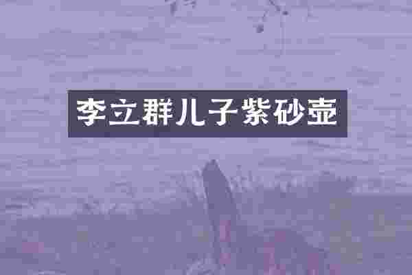 李立群儿子紫砂壶