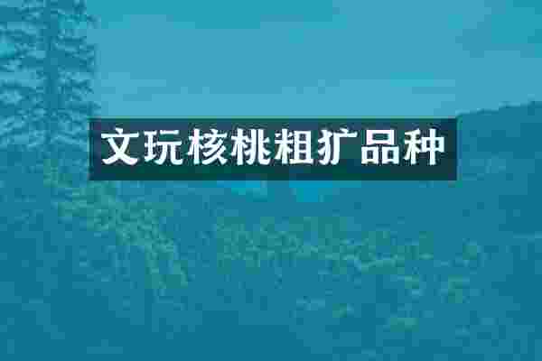 文玩核桃粗犷品种