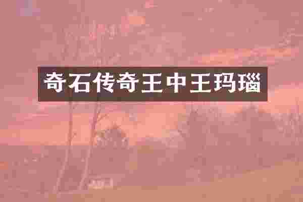 奇石传奇王中王玛瑙
