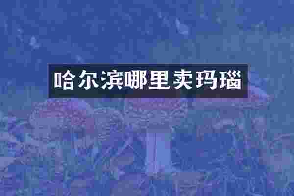 哈尔滨哪里卖玛瑙
