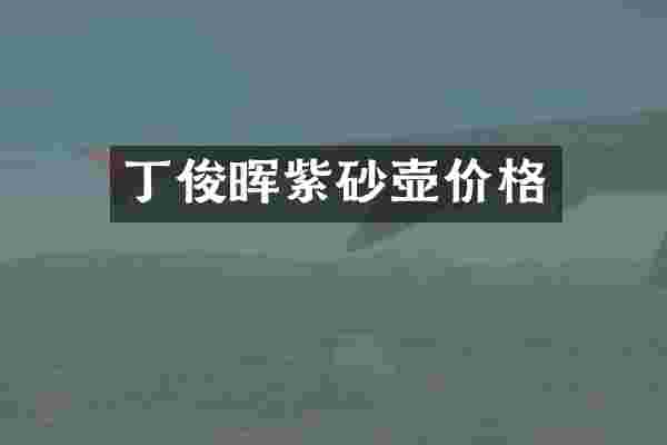丁俊晖紫砂壶价格