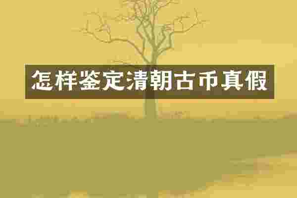 怎样鉴定清朝古币真假