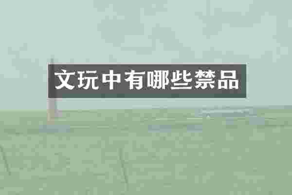 文玩中有哪些禁品