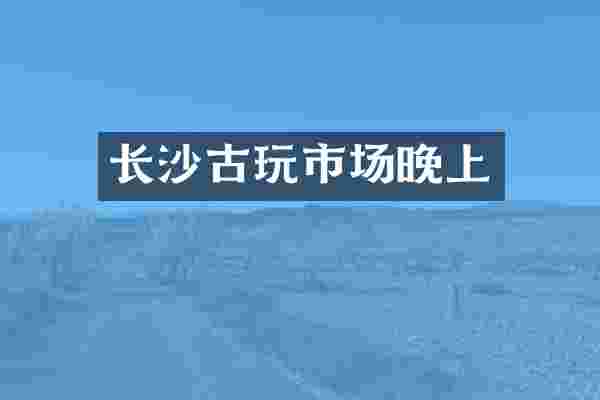 长沙古玩市场晚上