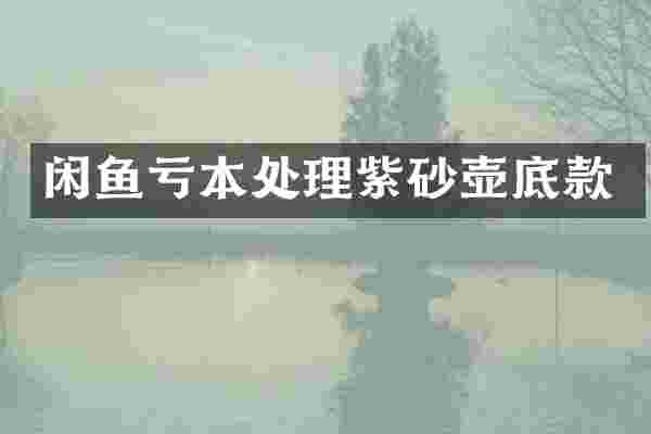 闲鱼亏本处理紫砂壶底款
