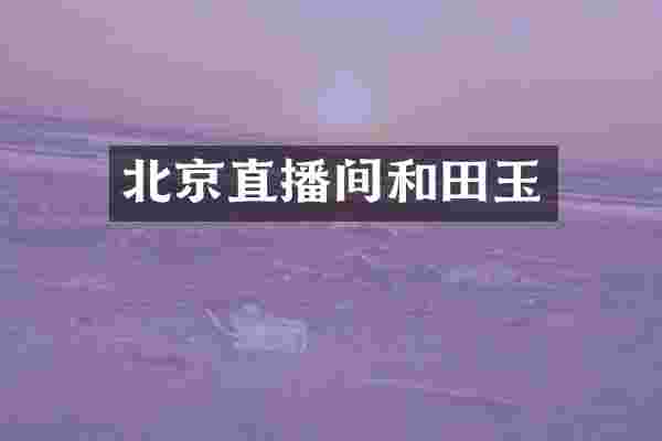 北京直播间和田玉