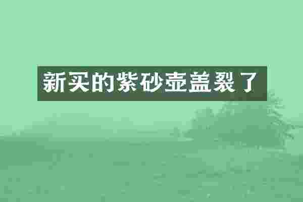 新买的紫砂壶盖裂了
