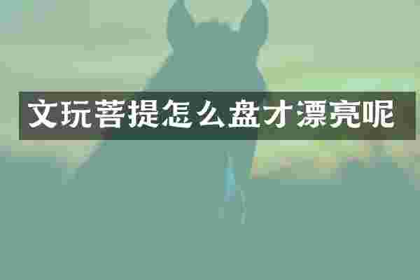 文玩菩提怎么盘才漂亮呢