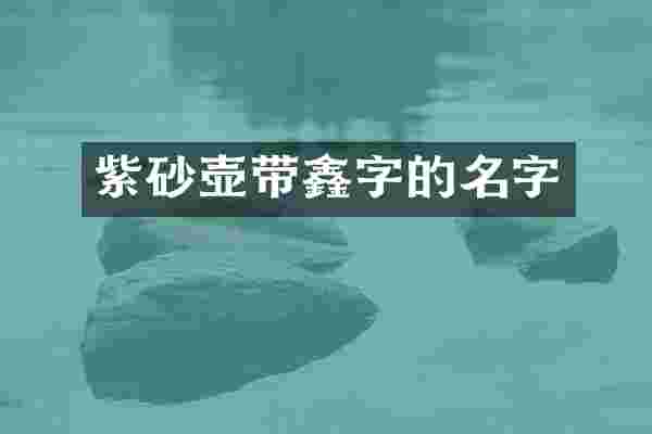 紫砂壶带鑫字的名字