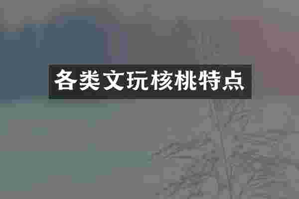 各类文玩核桃特点