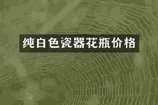 纯白色瓷器花瓶价格