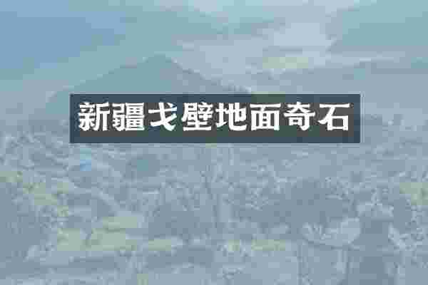 新疆戈壁地面奇石
