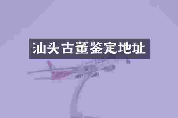 汕头古董鉴定地址