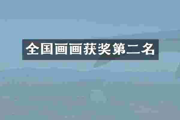 全国画画第二名
