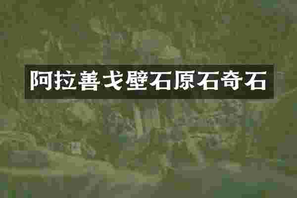 阿拉善戈壁石原石奇石