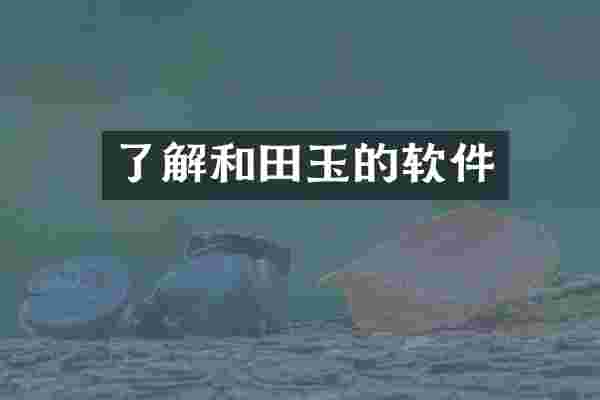 了解和田玉的软件