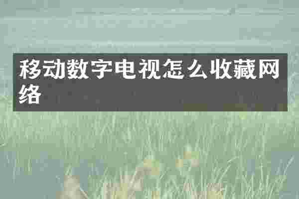 移动数字电视怎么收藏网络