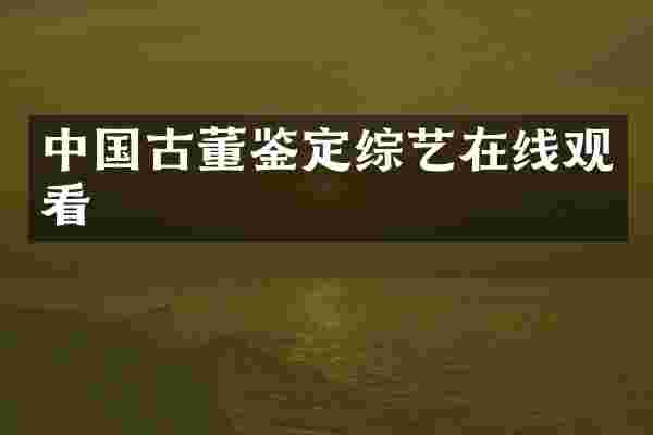 中国古董鉴定综艺在线观看