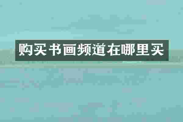 购买书画频道在哪里买