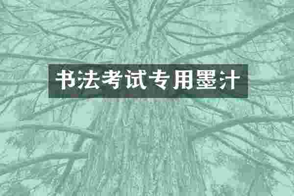 书法考试专用墨汁