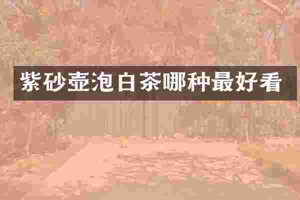 紫砂壶泡白茶哪种最好看