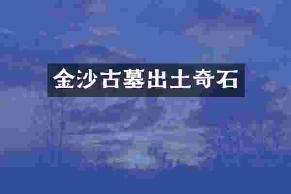 金沙古墓出土奇石
