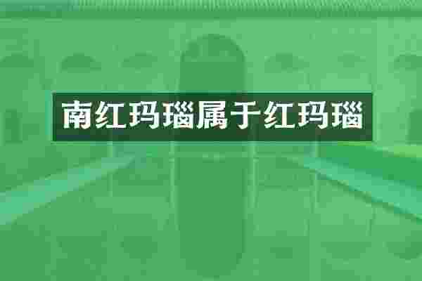 南红玛瑙属于红玛瑙
