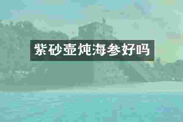 紫砂壶炖海参好吗