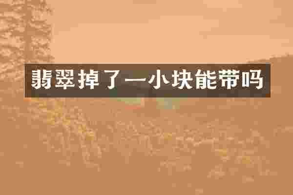翡翠掉了一小块能带吗