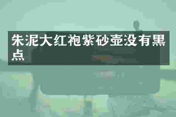 朱泥大红袍紫砂壶没有黑点
