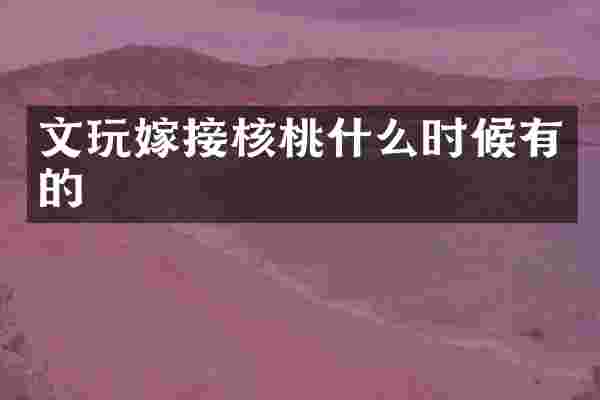 文玩嫁接核桃什么时候有的