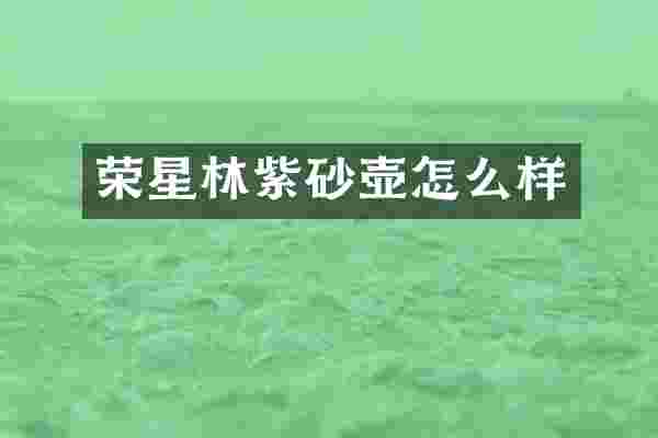 荣星林紫砂壶怎么样