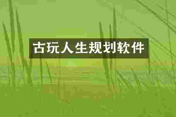 古玩人生规划软件