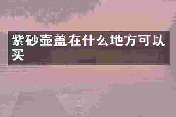 紫砂壶盖在什么地方可以买