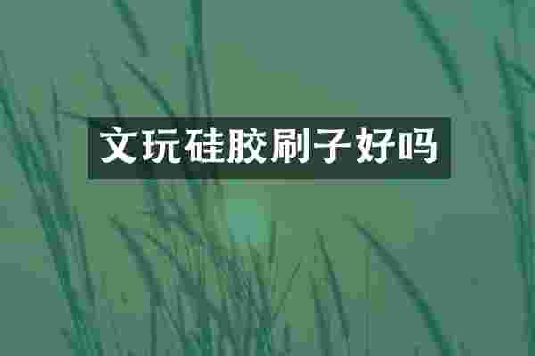 文玩硅胶刷子好吗