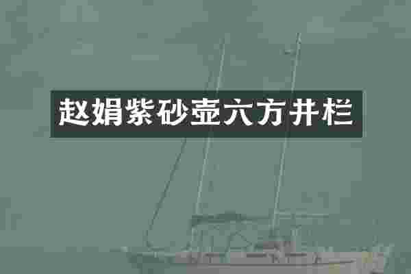 赵娟紫砂壶六方井栏