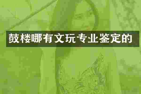 鼓楼哪有文玩专业鉴定的