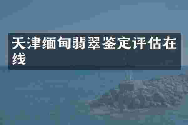 天津缅甸翡翠鉴定评估在线