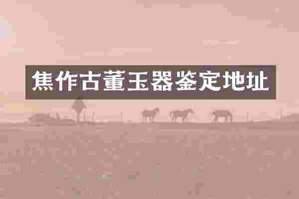 焦作古董玉器鉴定地址